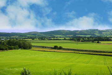 Fototapeta na wymiar landscape with green grass and blue cloudy sky