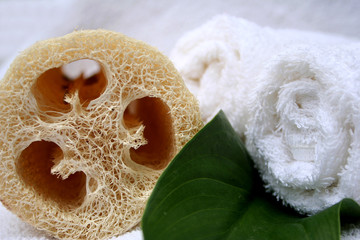 esponja natural