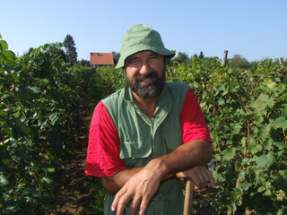 man in the vineyard