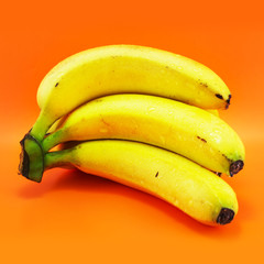 bunch of bananas (isolated on orange)