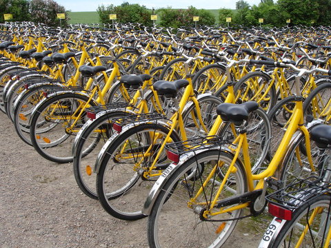 Bike rental. Tour tourism in Sweden - equal, yellow bicycles for rent