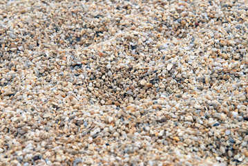 grain sable