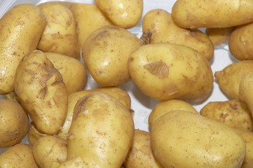 pommes de terre
