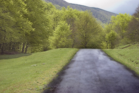 carretera tras la lluvia