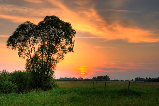 summer sunset