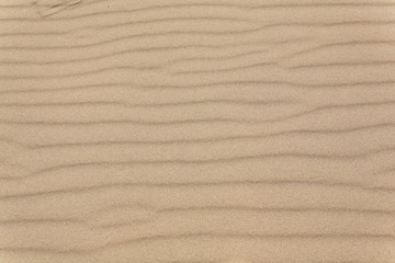sable
