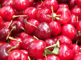 cerise rouges