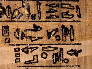  papyrusgras mit  hieroglyphen