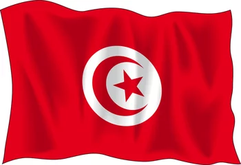 Wall murals Tunisia flag of tunisia