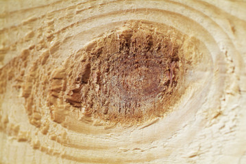 close-up of wooden surface