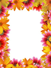 flower frame vertical