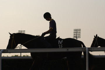 jockey and horse walking to the parade ring