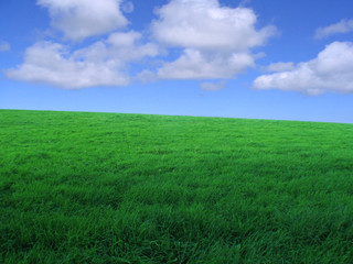 horizon vert