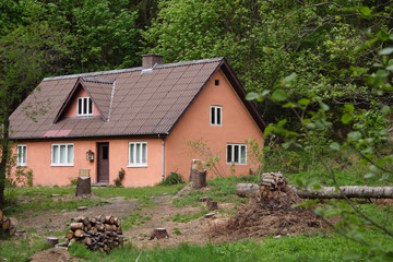 Fototapeta na wymiar the little house in a forest
