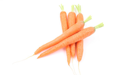 fresh carrots