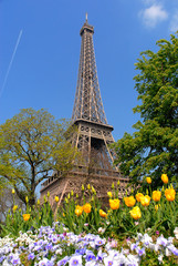 spring in paris, eiffel tower