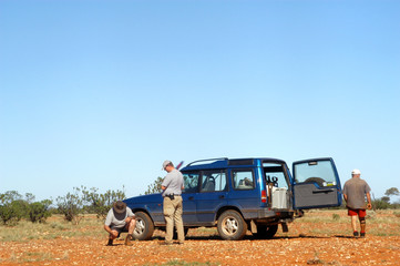 dans le bush australien