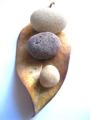 zen zen