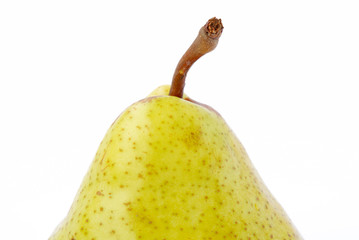 stem of pear
