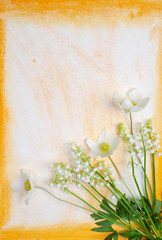 Spring flowers on watercolor background