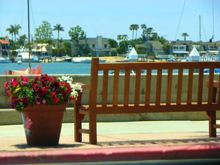 Fototapeta na wymiar flowers and bench