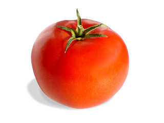 fresh tomato