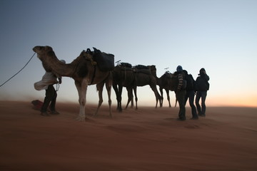 travellers on sand storm