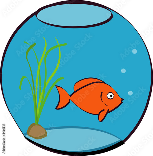 POISSON SCARICA