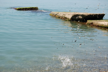 stones falling into the water