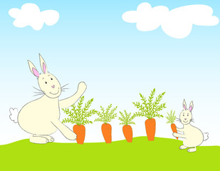 Rabbits and carrots