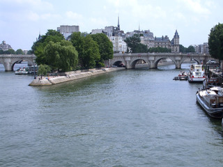 Fototapeta na wymiar Seine Paryż