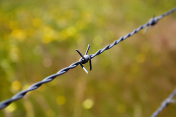 barbed_wire_01