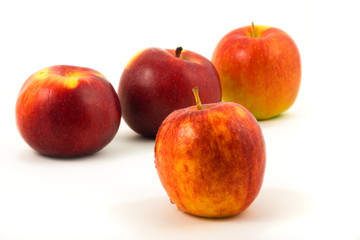 apples