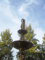 fuente en guareña