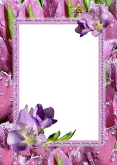 pink tulips frame