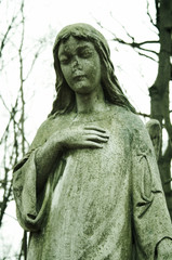 Fototapeta premium angel without nose