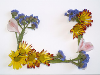 cornice di fiori © MIRRO