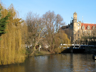Obraz premium willow tree by canal amsterdam