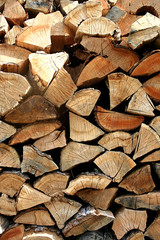 Fototapeta premium stacks of firewood portrait