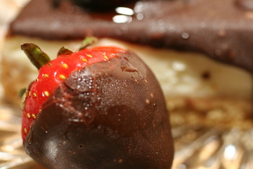 chocolate cheesecake