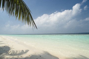 Fototapeta na wymiar tropical island beach