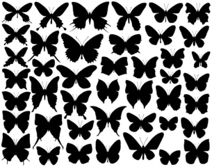 Papier Peint photo Lavable Papillon butterfly shapes