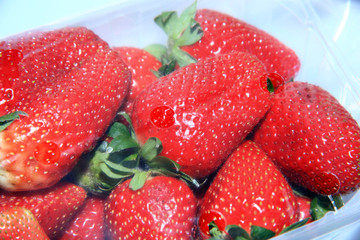 frische erdbeeren