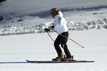 Obraz premium pili-948