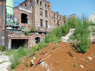 mohnblumen vor industriebrache