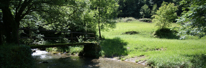 le petit pont sur le torrent