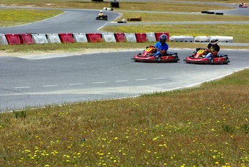 cars of kart