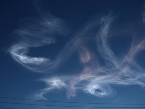 trippin clouds