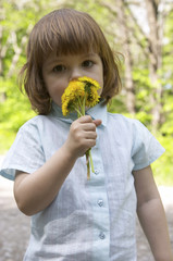 summer flowers