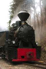 Fototapeta na wymiar locomotive detail